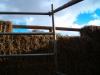 A Llama's eye view