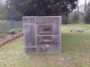 Chickens installed at the woods