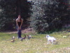 Here chick chick chick!