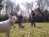 Buzzard watch