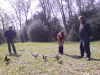 chicken watch