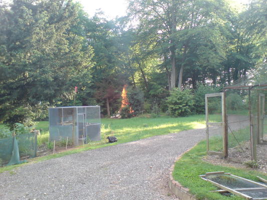 DSC00005