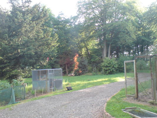 DSC00006