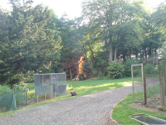 DSC00007