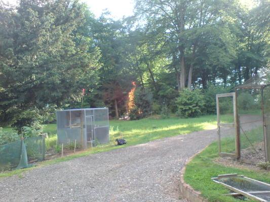 DSC00008