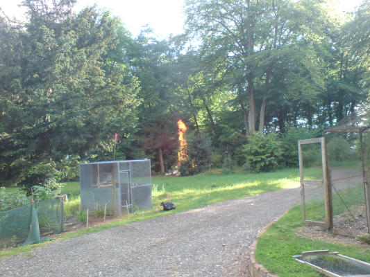 DSC00009