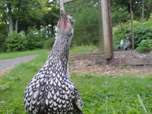 DSC00019