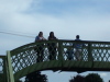 birds on a bridge