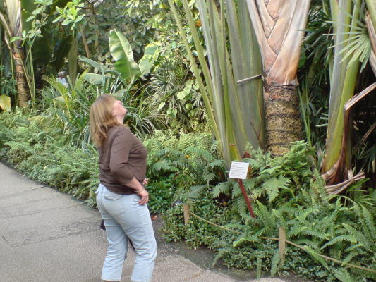 DSC00306