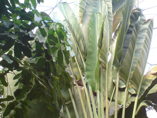 DSC00307