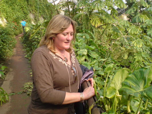 DSC00312