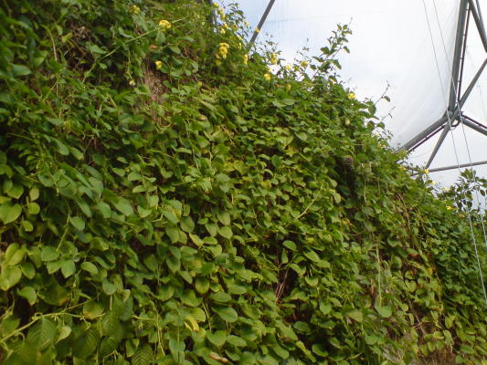 DSC00319