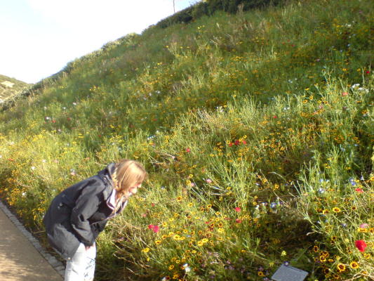 DSC00335