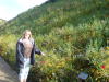 look flowers