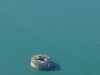 Spitbank Fort C1860-1880
