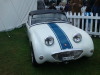 Lovely frogeye