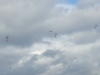 TEN spitfires flying in formation.  The most in the air since WW2
