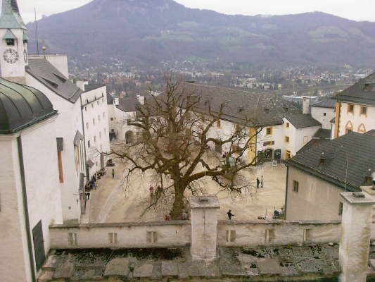 Photo-0053