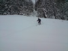 Vic out of the trees (Tuesday)