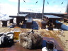 Beer, Gluhwein & Vic's soggy moggy.